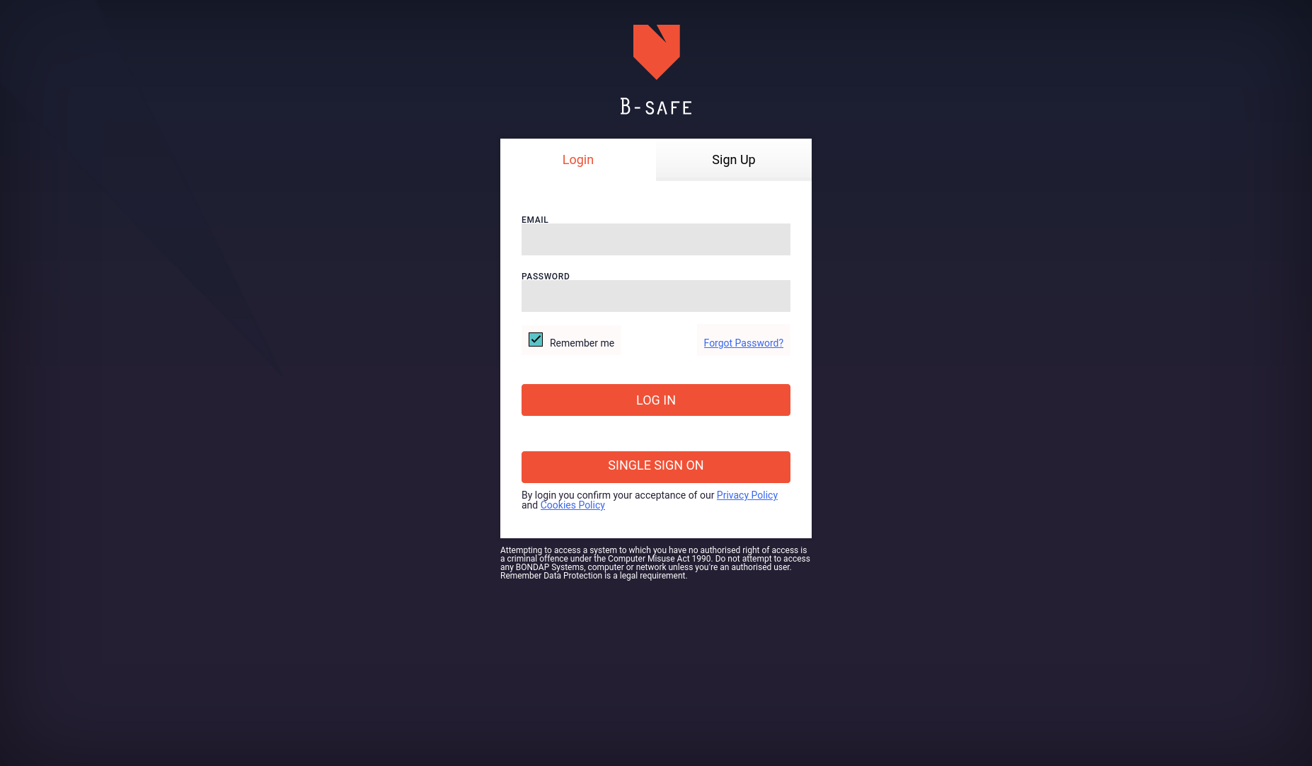 B-SAFE Data and IT Risk authorization view